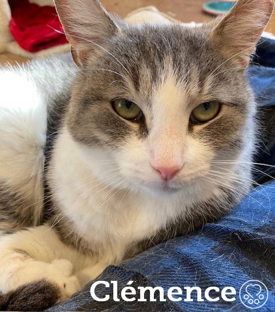 Clémence