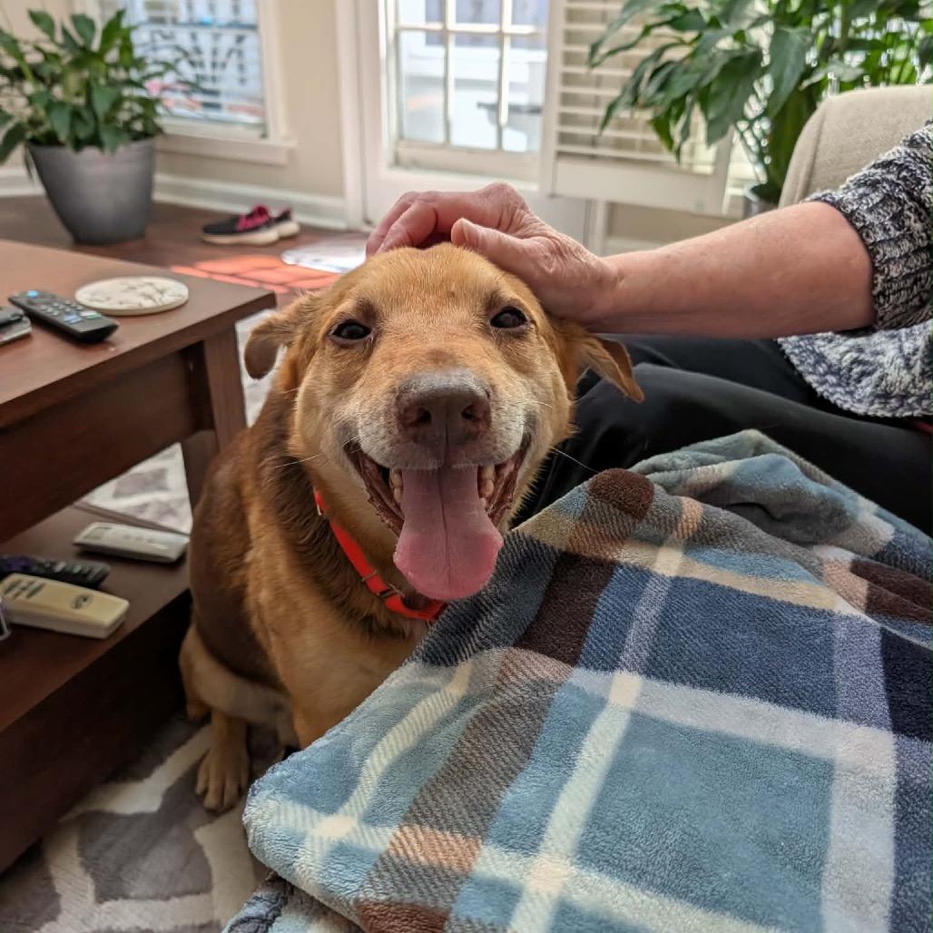 Enlarge Taki, a Adoptable Mixed Breed in Greensboro, NC image 4/5