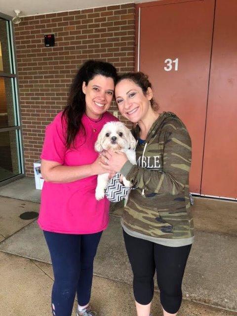 Tess, Adopted, Senior Female Shih Tzu.