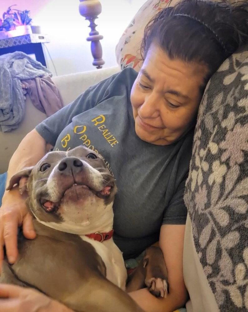 Enlarge Smoochie - LIFETIME EXPENSES COVERED, a Adoptable Pit Bull Terrier in Caldwell, NJ image 3/4