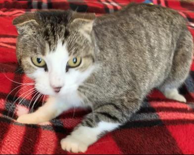 Sydney — thumbnail 2