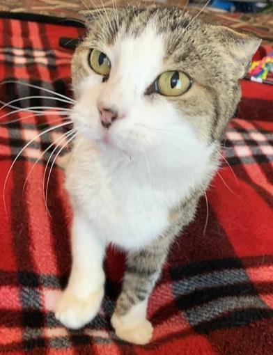 Sydney — thumbnail 5