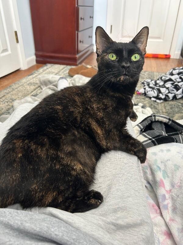 Daisy — thumbnail 5