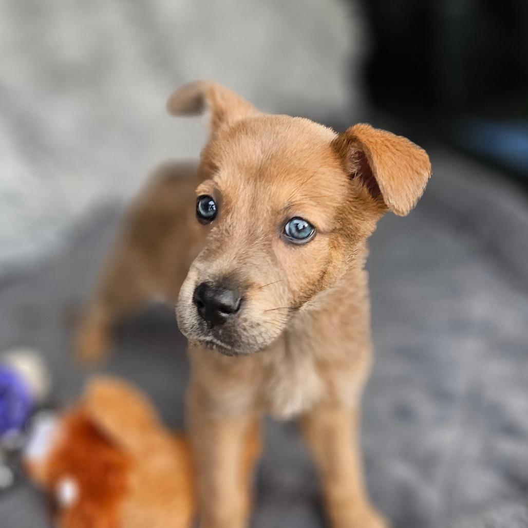 Justin — thumbnail 2