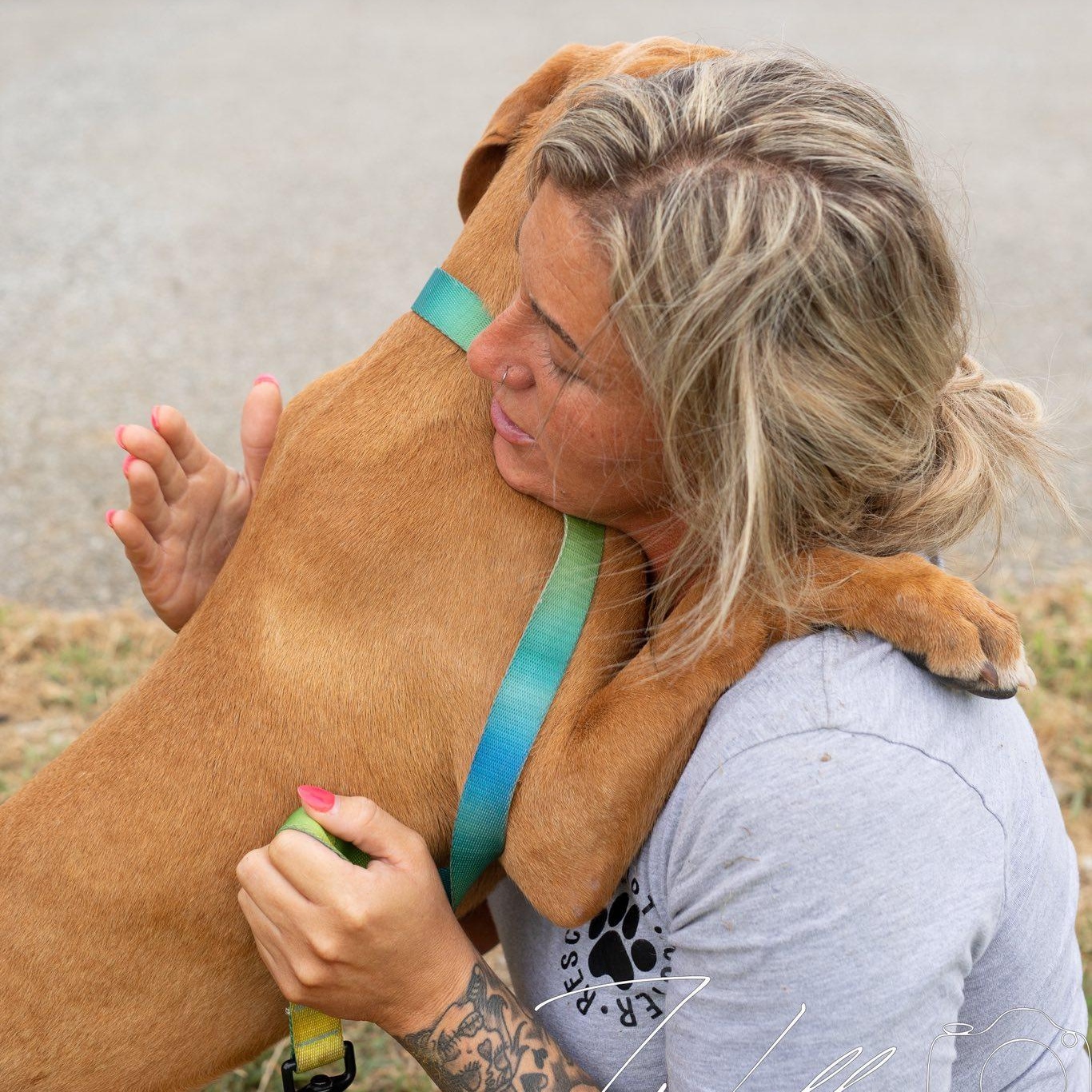 Biscuit-Sponsored Adoption