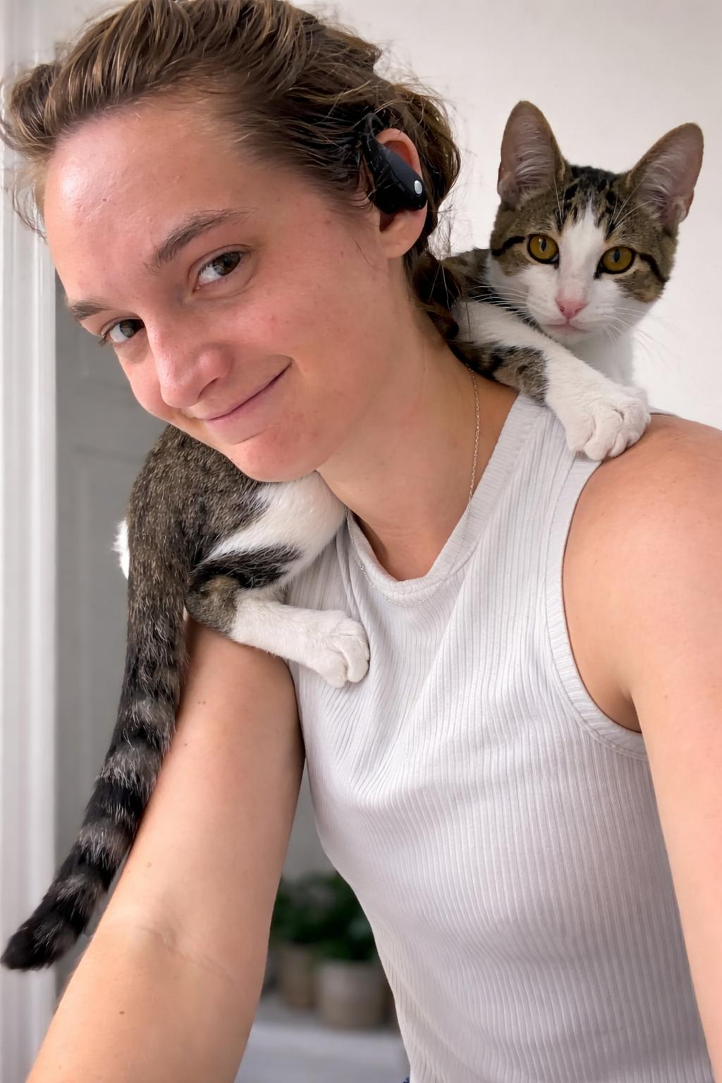 Enlarge Casper, a Adoptable Tabby in Houston, TX image 2/6