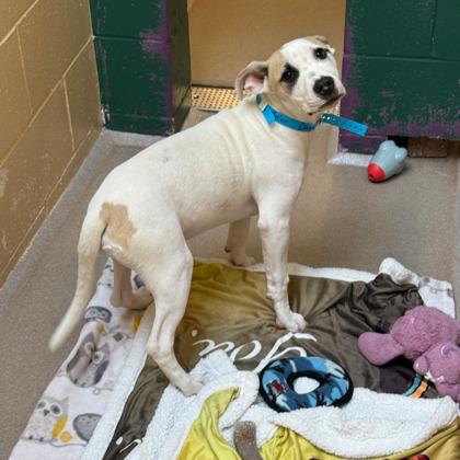 Ezra — thumbnail 3