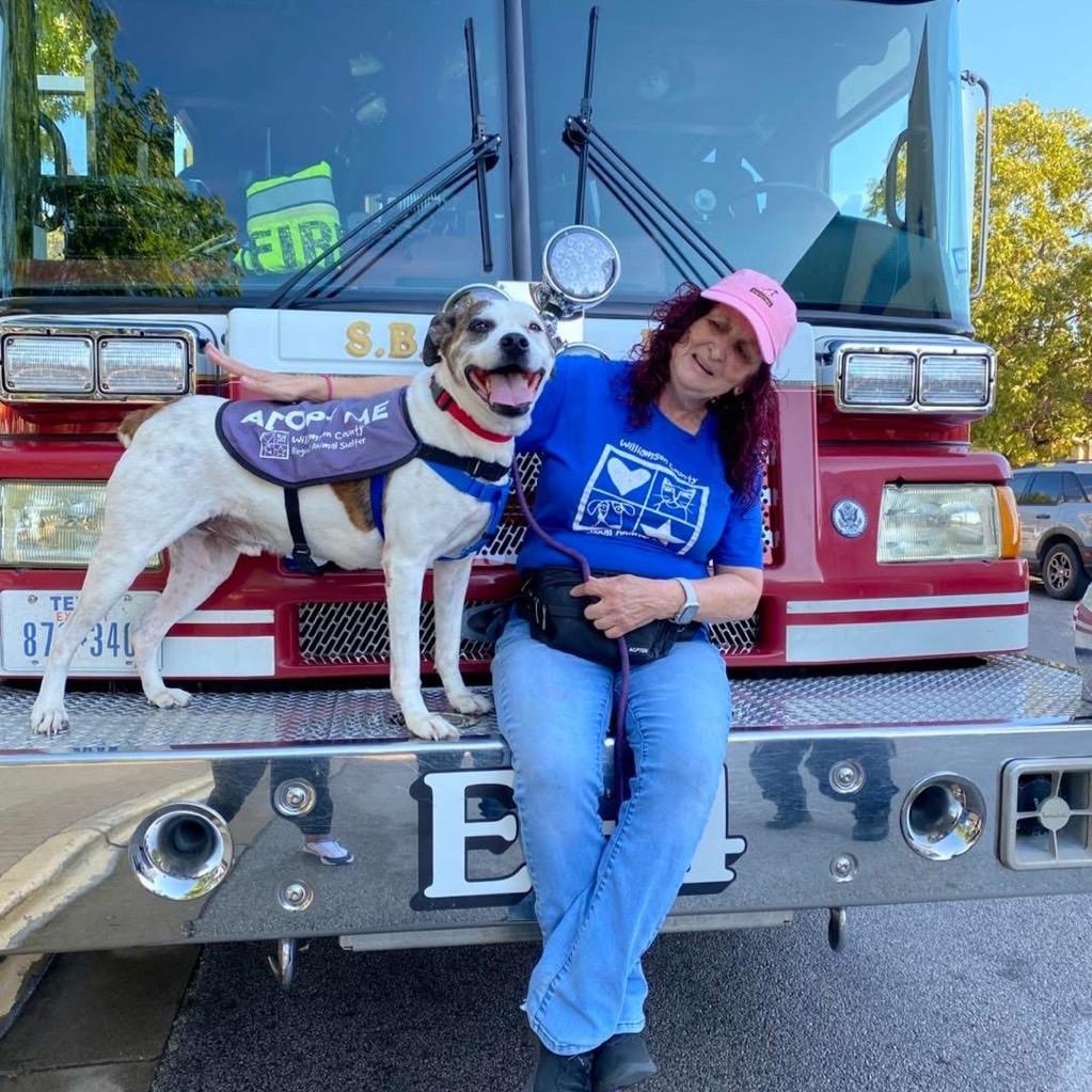 Robby — thumbnail 4