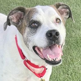 Robby — thumbnail 6