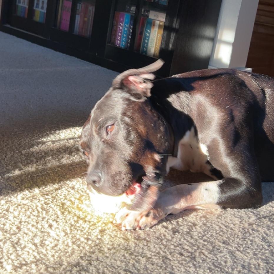 Sharen — thumbnail 5