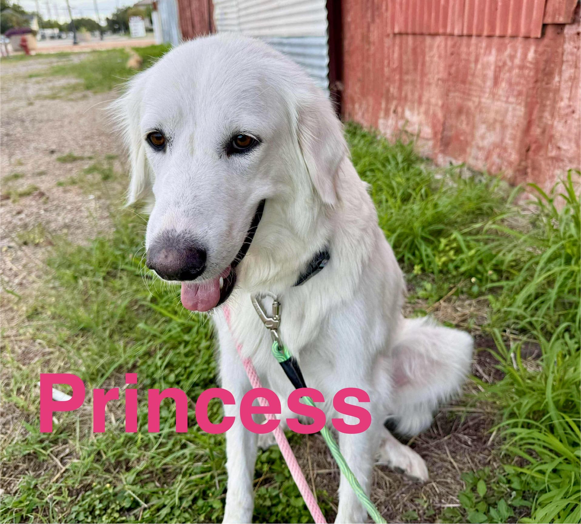 Princess