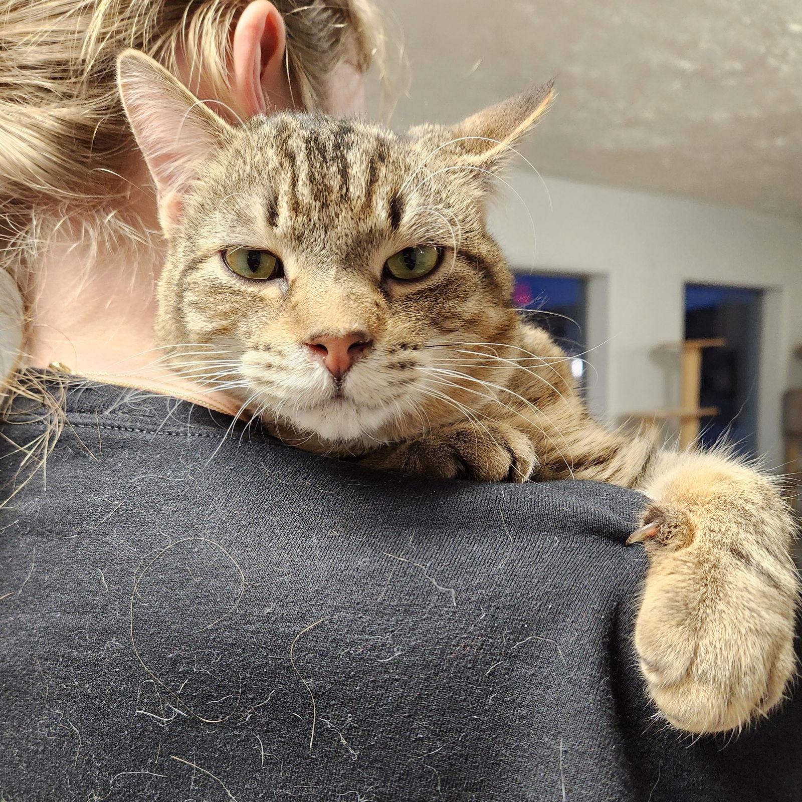 Humpty Dumpty — thumbnail 2