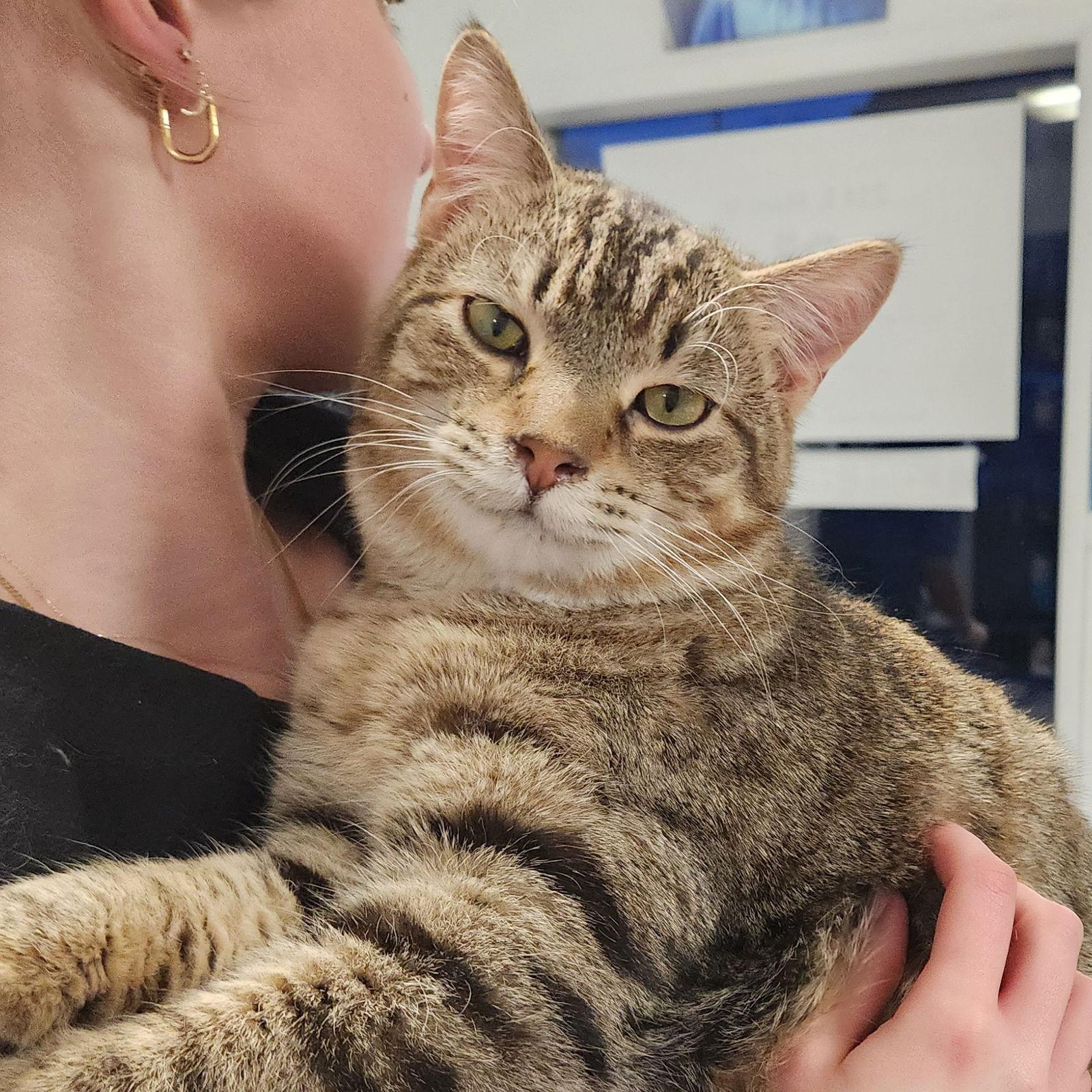 Humpty Dumpty — thumbnail 3