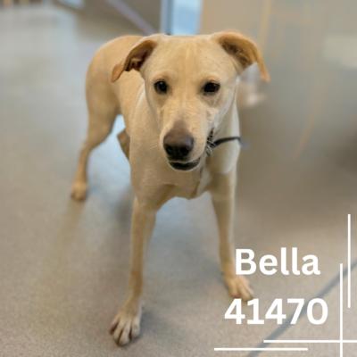 Bella photo 3