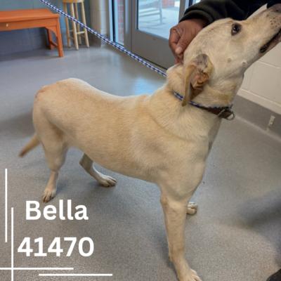 Bella photo 2