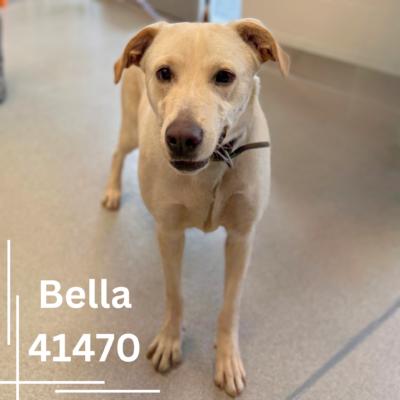 Bella photo 1