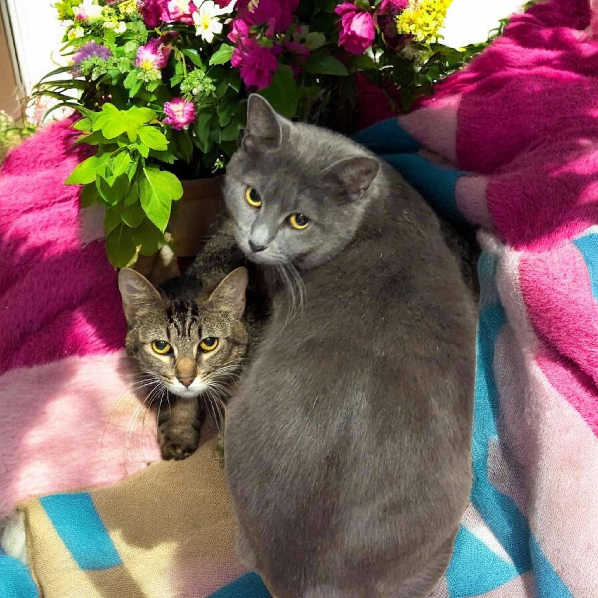 Lucy & Ethel