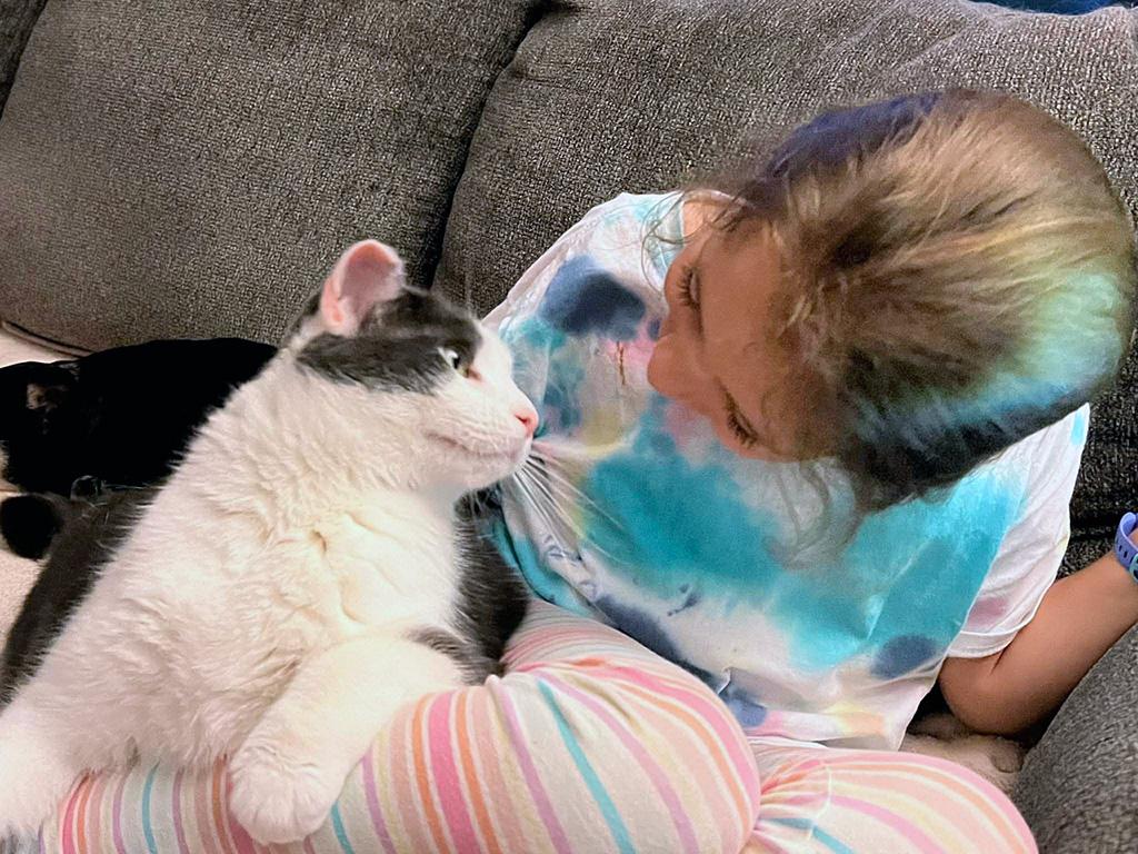 Purrcival and Addie, Bonded Brothers