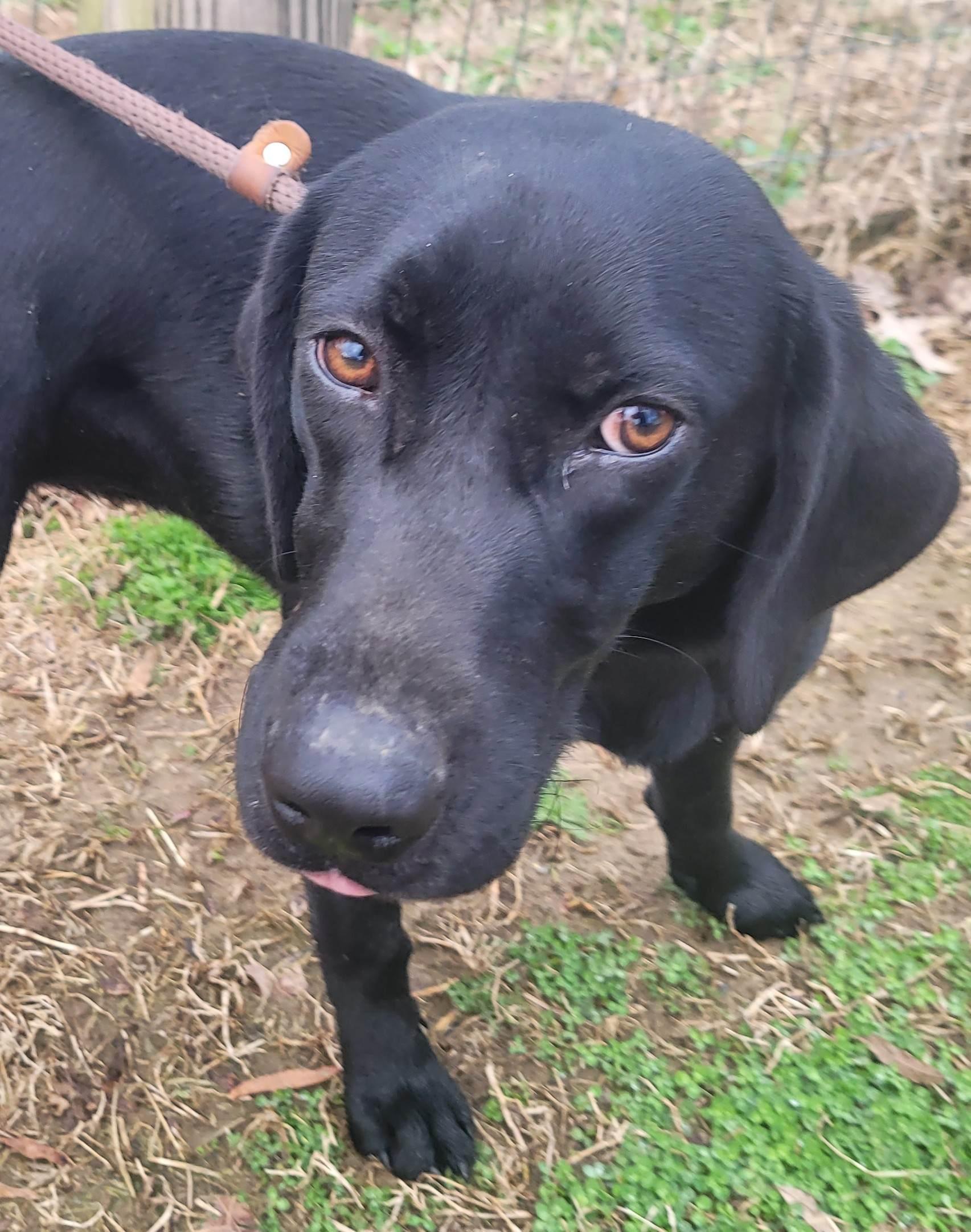 Ciri — thumbnail 3