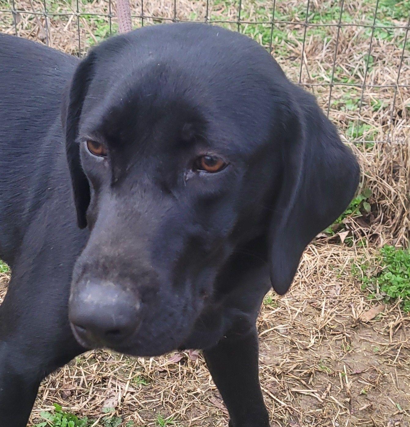 Ciri — thumbnail 5