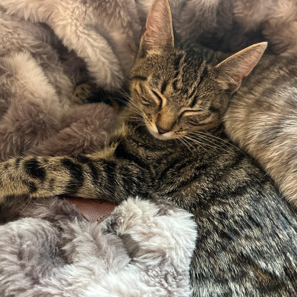 Louise — thumbnail 2