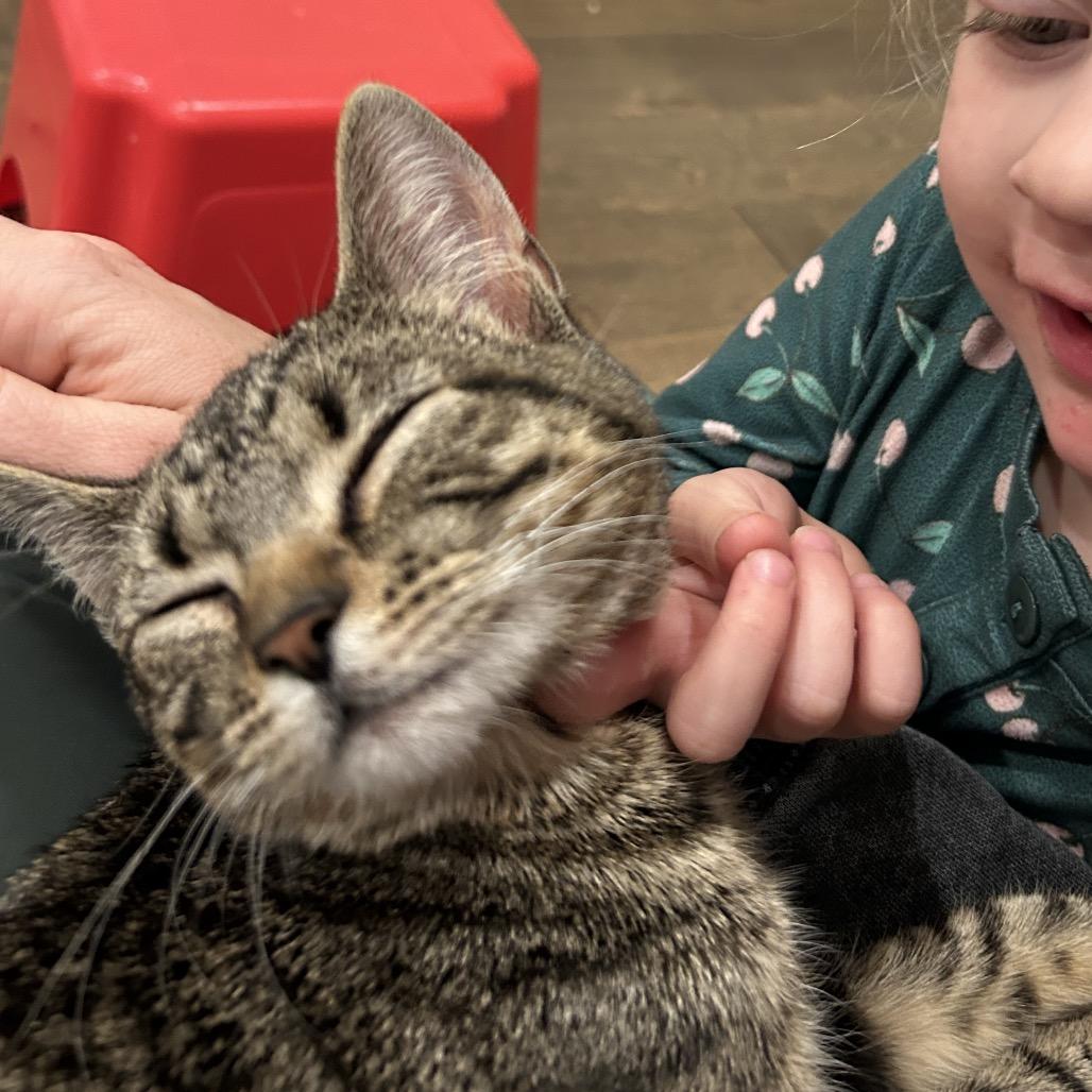 Louise — thumbnail 3