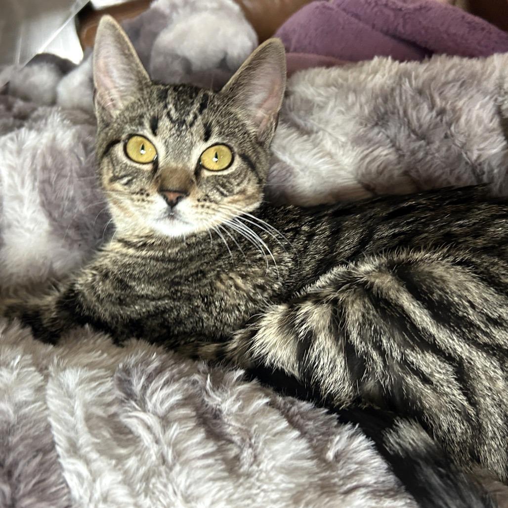 Louise — thumbnail 4