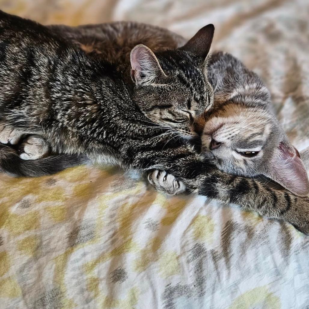 Louise — thumbnail 5