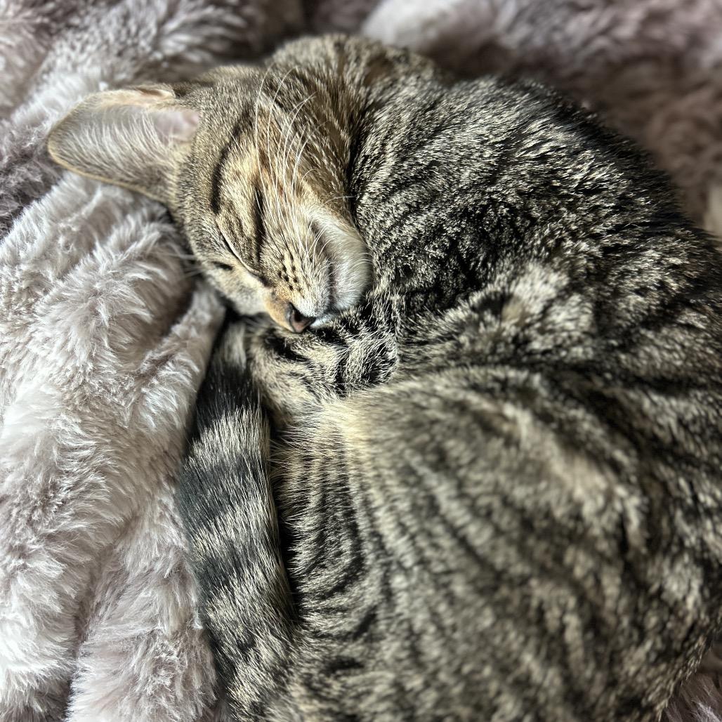 Louise — thumbnail 6