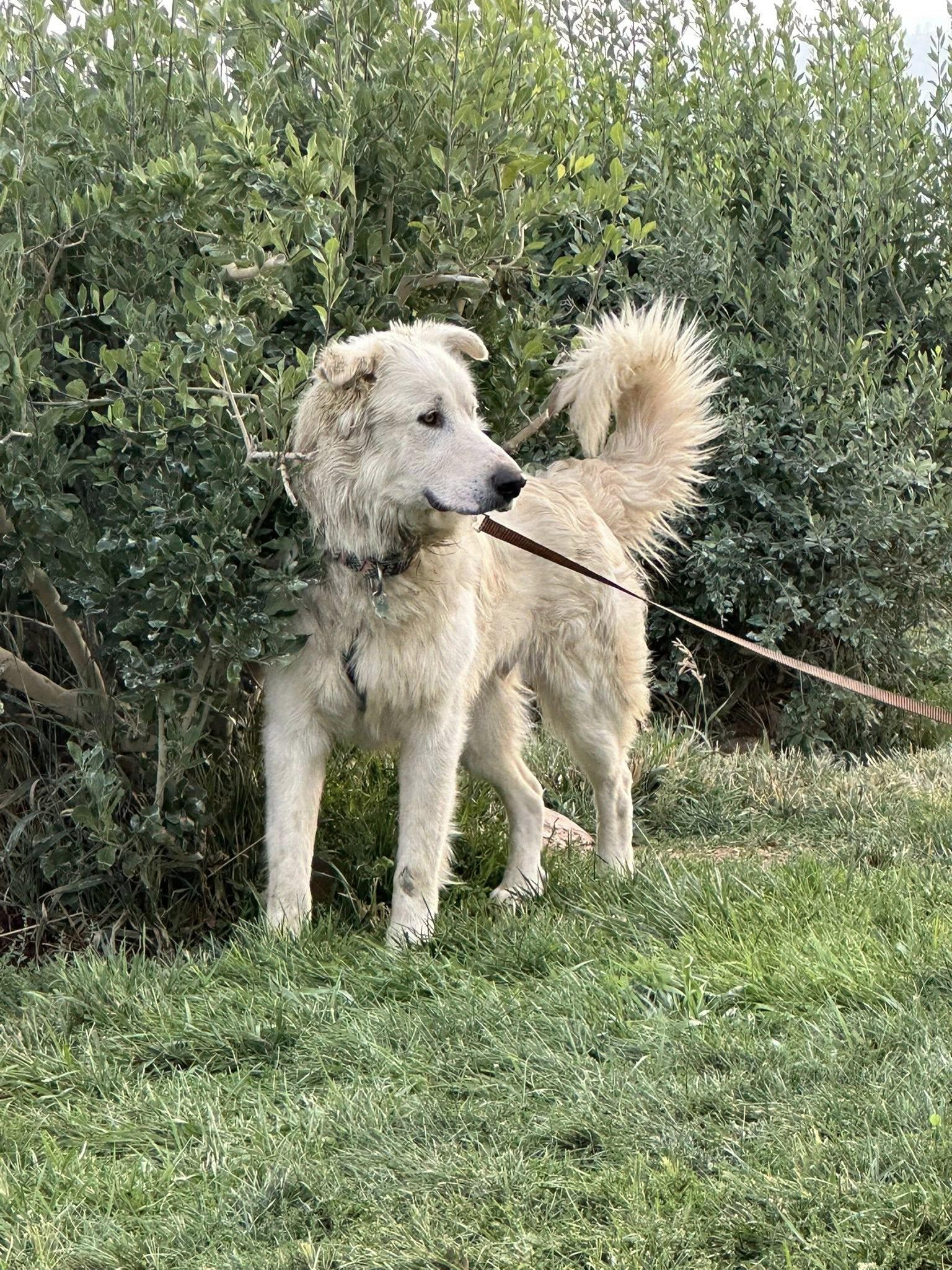 Kasper