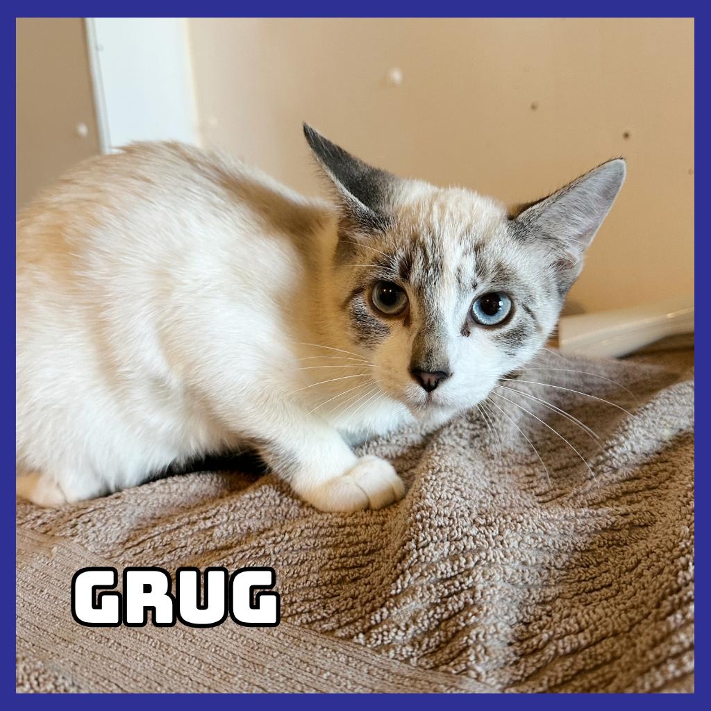 Grug photo