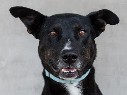 Rueben — thumbnail 2