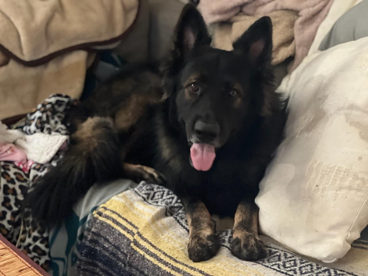 Tyson
