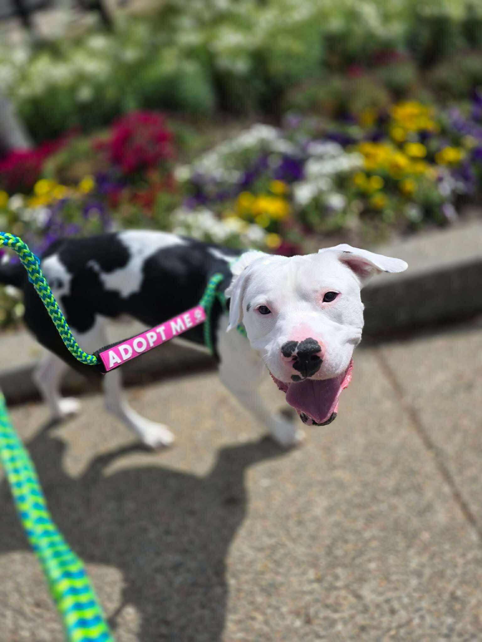 Clark — thumbnail 6