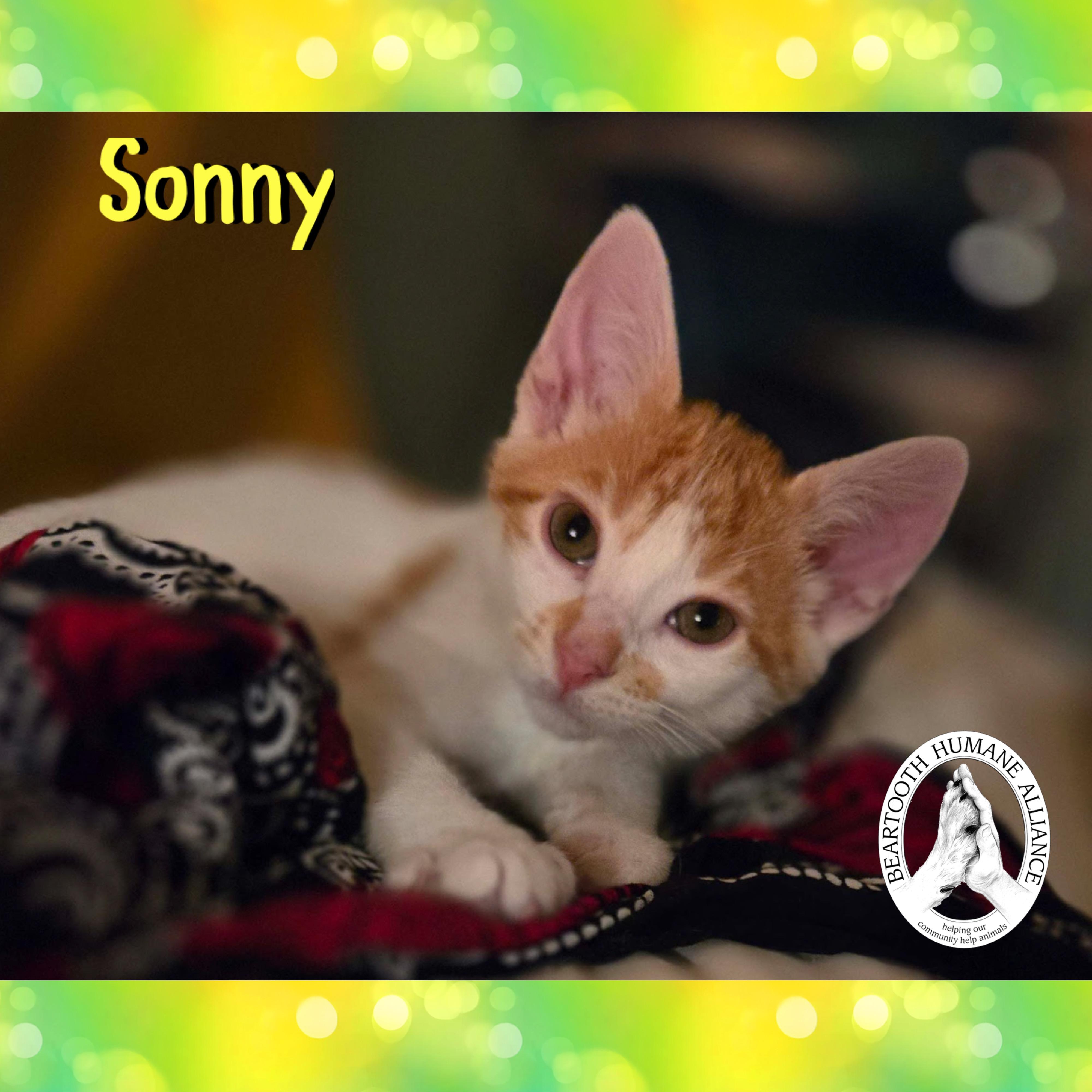 Sonny, Baby Male unknown