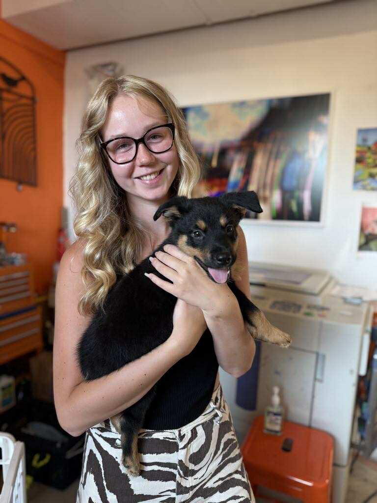 EFFIE and TESS
