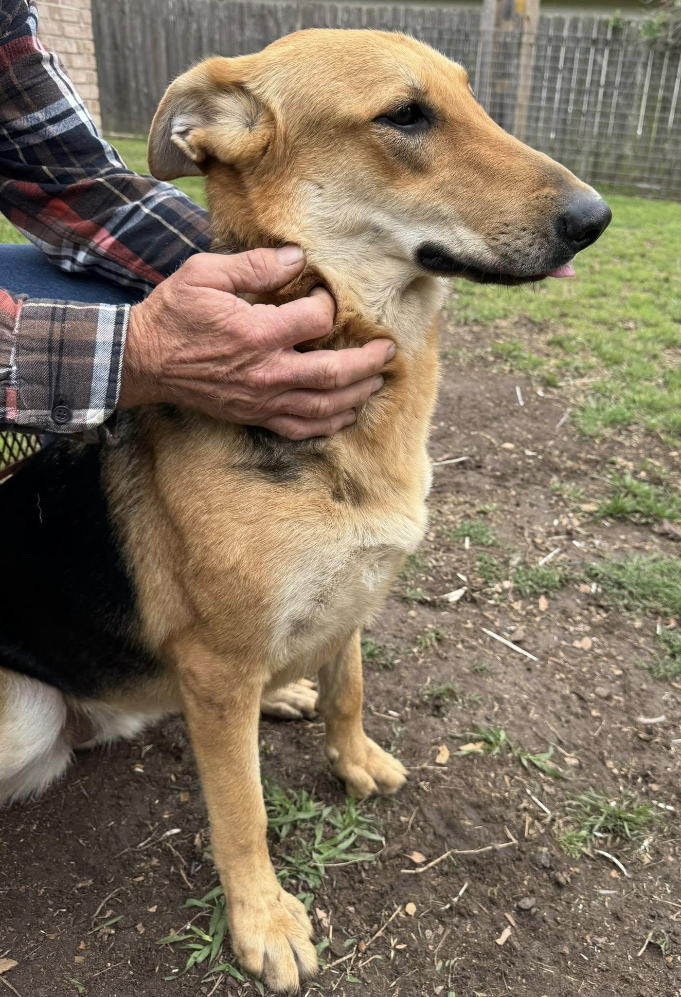 Bonnie & Clyde (courtesy post)
