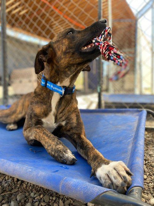 Camila — thumbnail 2