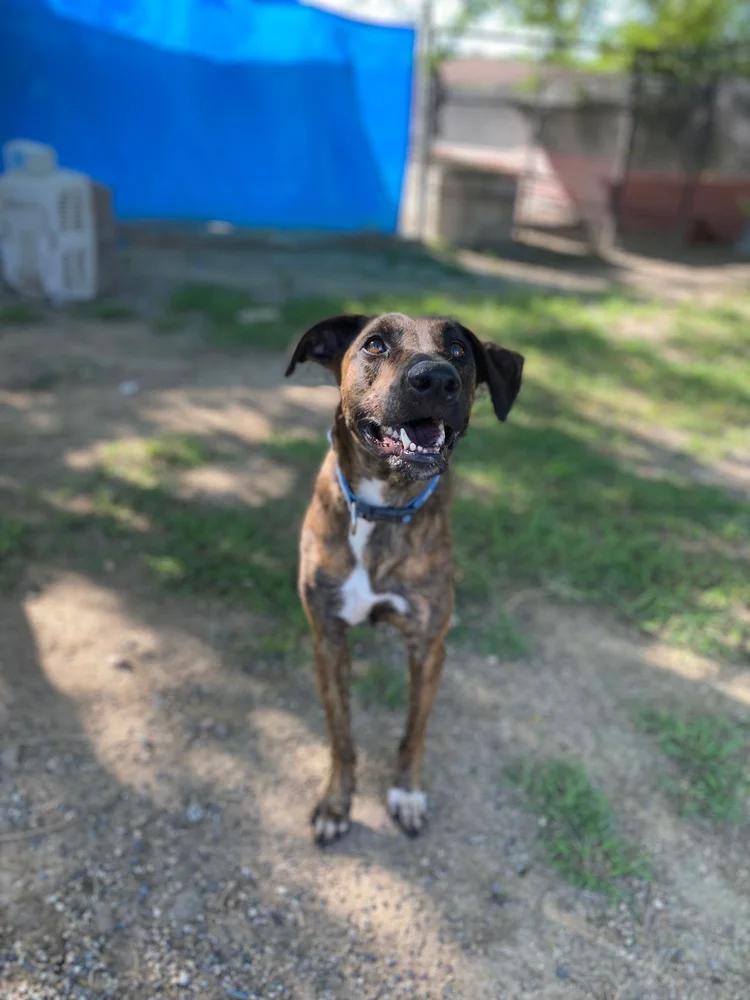 Camila — thumbnail 3