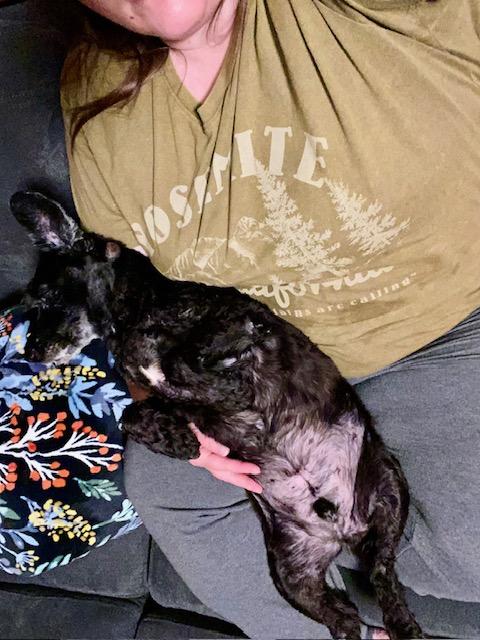 Pup Pup