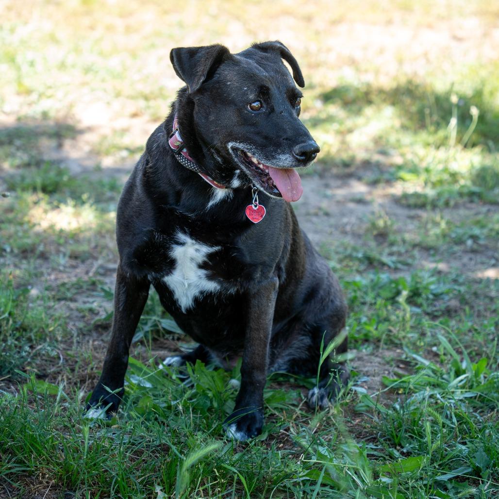 MELODY — thumbnail 5