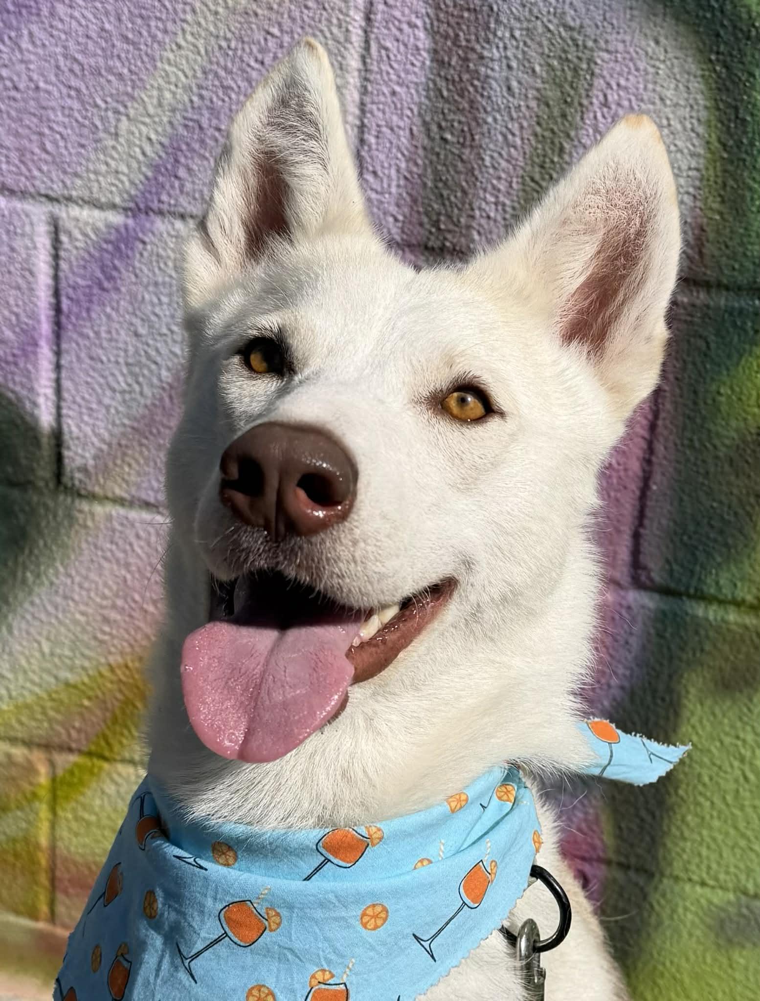 Bahama Mama Gives Gentle Hugs — thumbnail 2