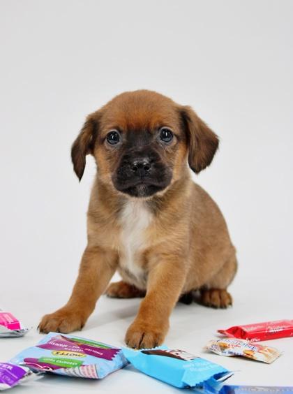 Runtz — thumbnail 2