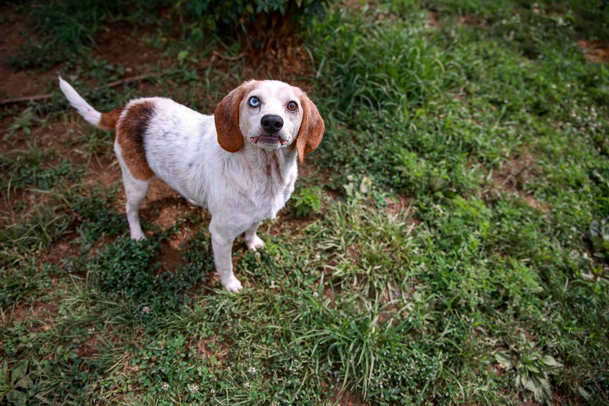 Tucker, Senior Male unknown