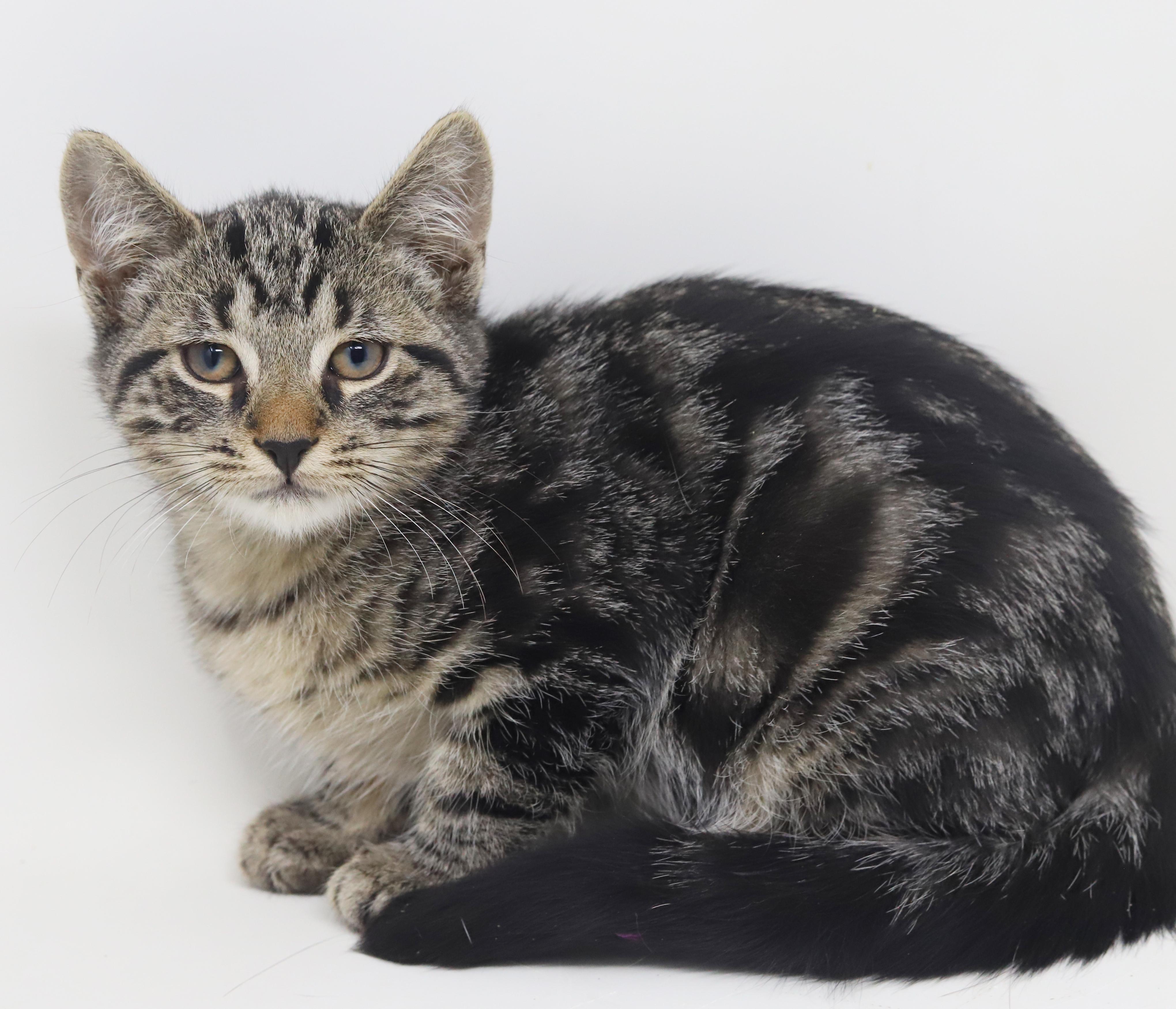 Ray Ray Is Ridiculously thumbnail 5