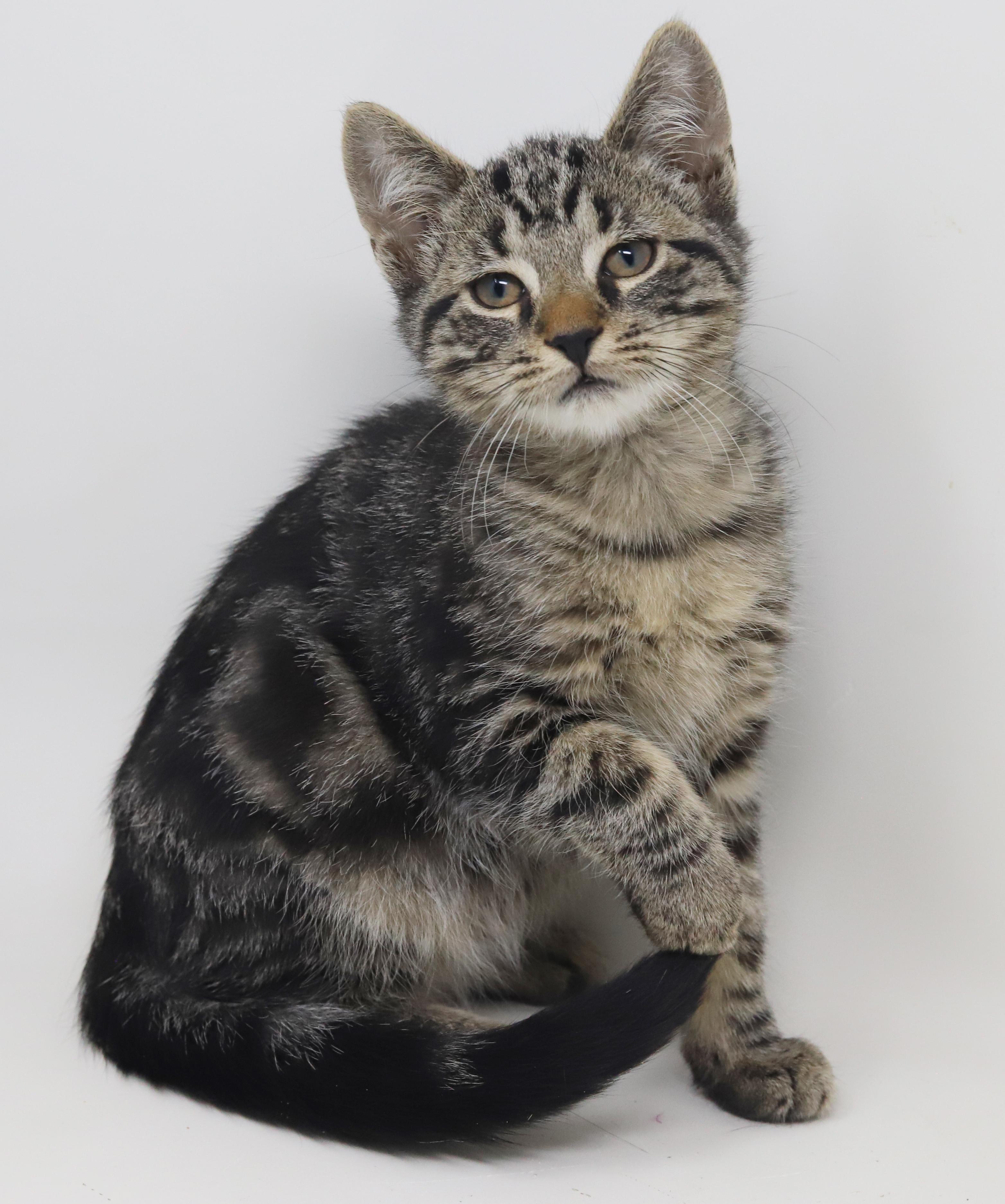 Ray Ray Is Ridiculously thumbnail 4