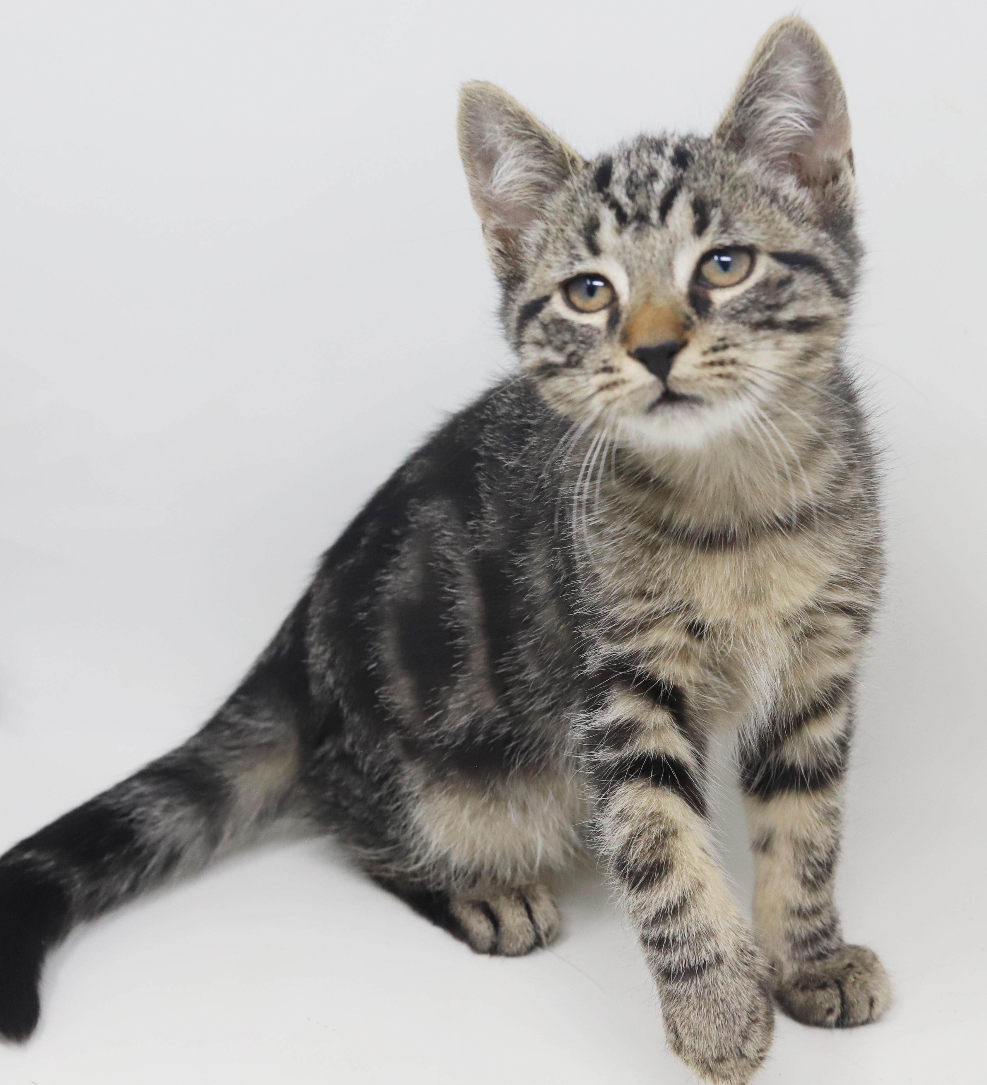 Ray Ray Is Ridiculously thumbnail 6