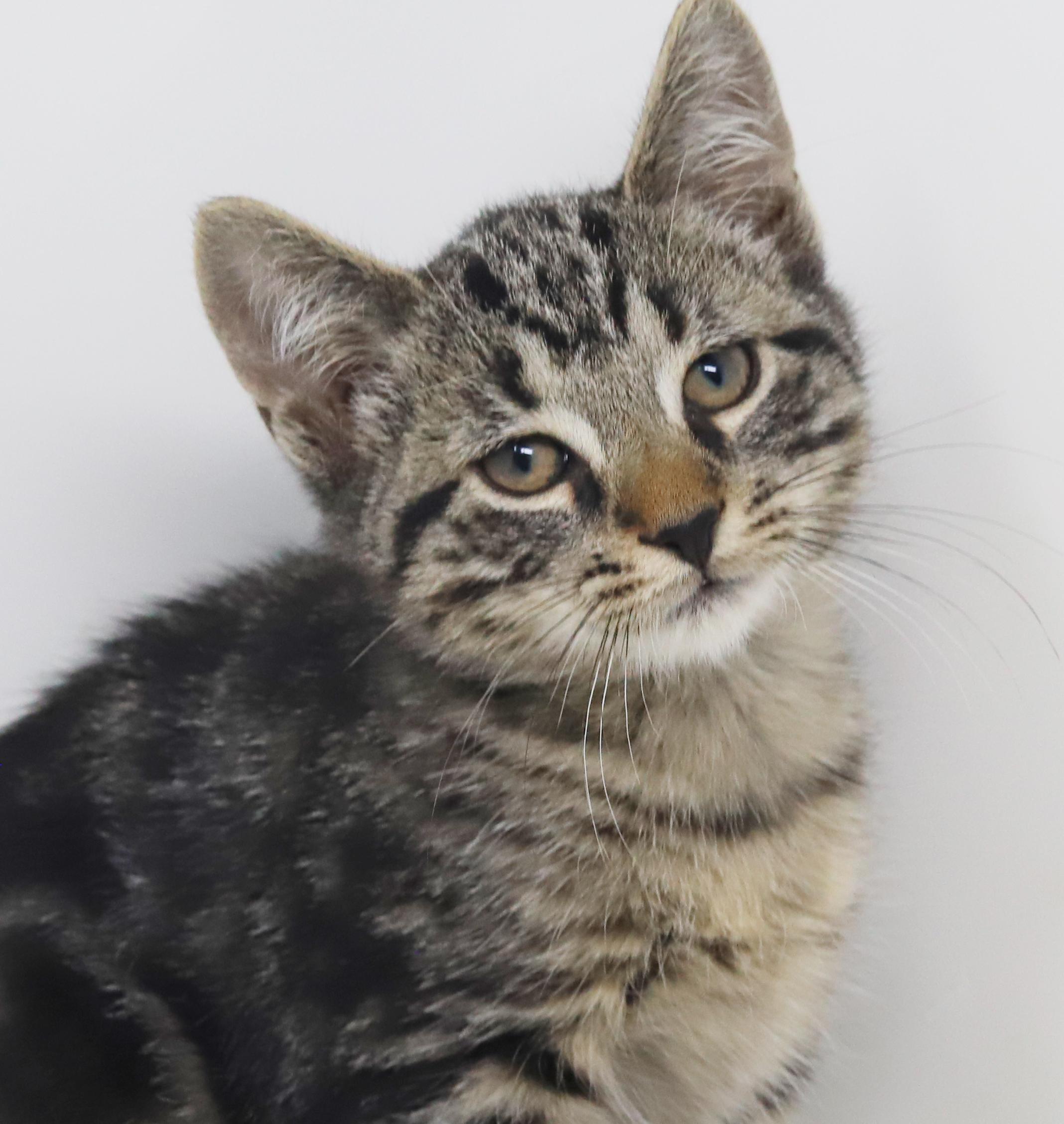 Ray Ray Is Ridiculously thumbnail 2