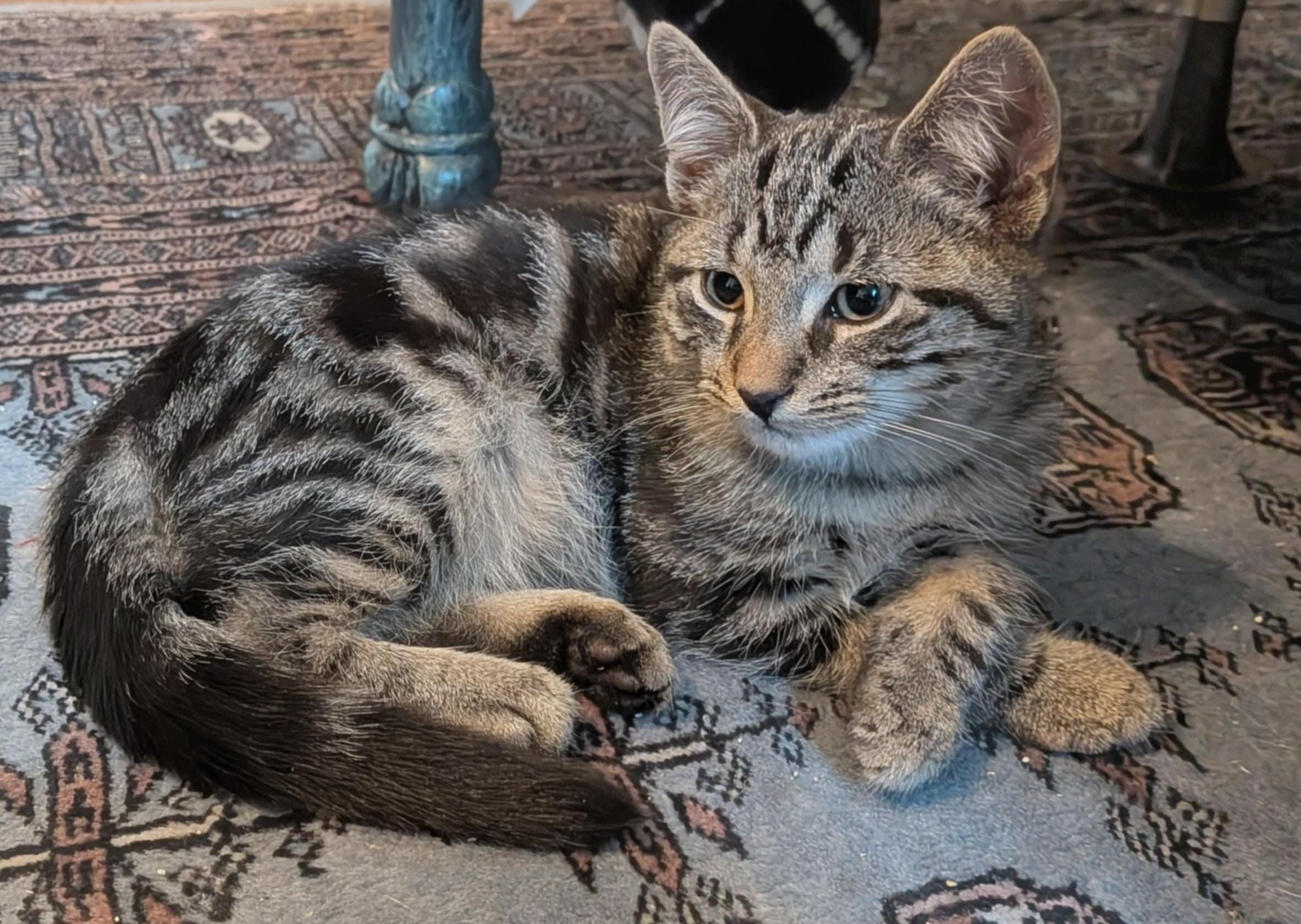 Ray Ray Is Ridiculously thumbnail 3