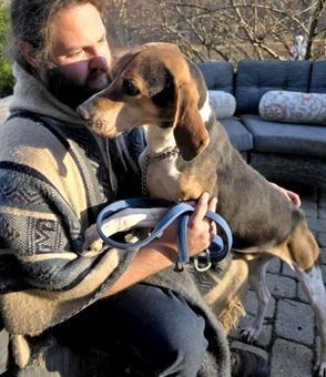 Watson, a Adoptable Treeing Walker Coonhound in Canterbury, CT image 3/5